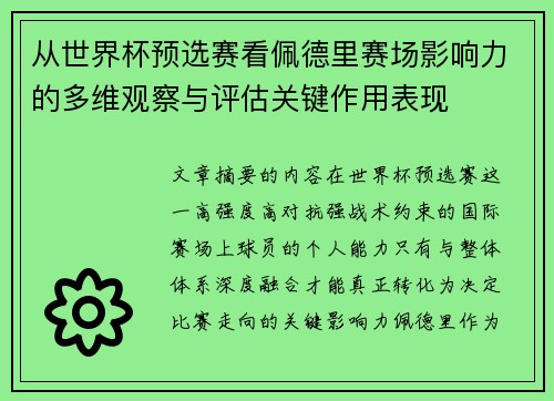 从世界杯预选赛看佩德里赛场影响力的多维观察与评估关键作用表现